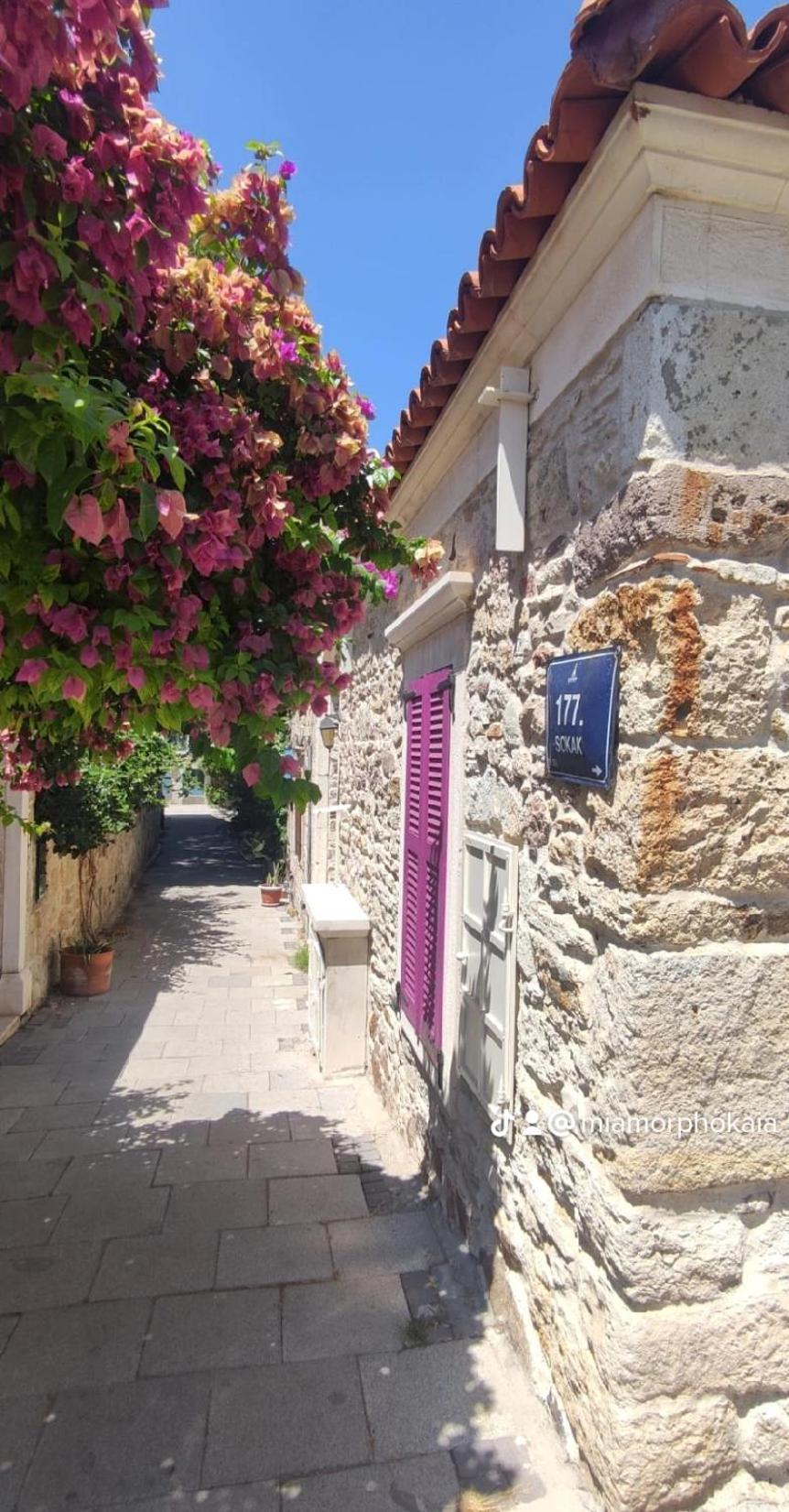 Mi Amor Phokaia Foca Exterior photo